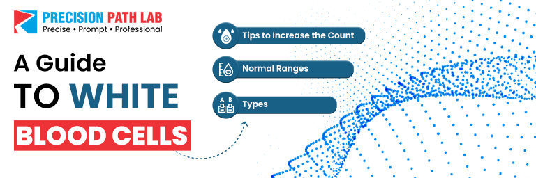 How to Increase White Blood Cell Count Naturally